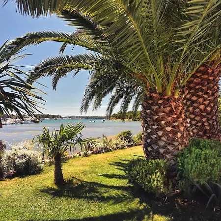 Cozy 20 Meters From The Sea *